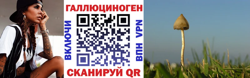 Псилоцибиновые грибы Cubensis  Купить где  Железноводск 
